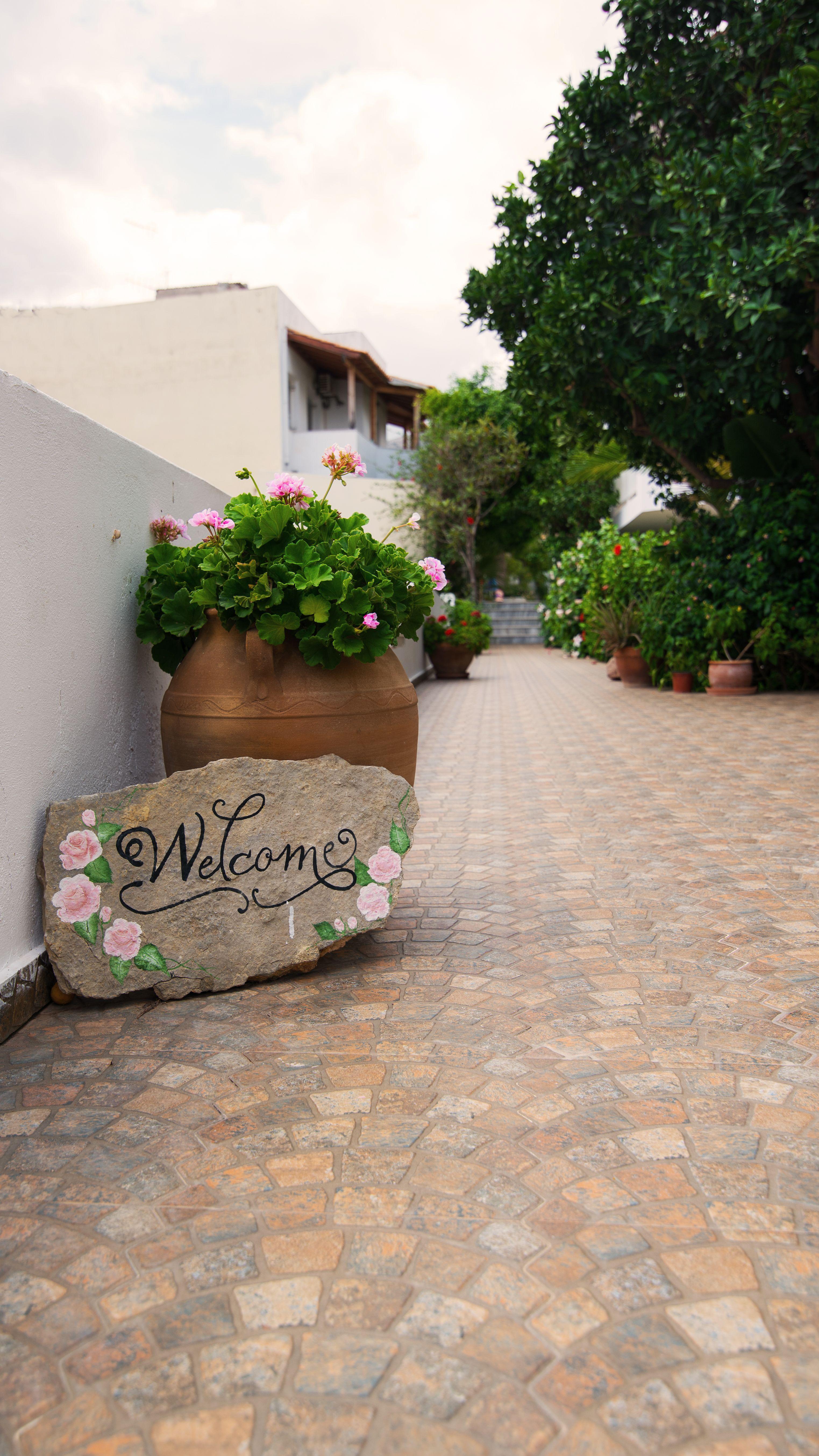 Melissa Apartments, Studios & Suites Malia Eksteriør billede