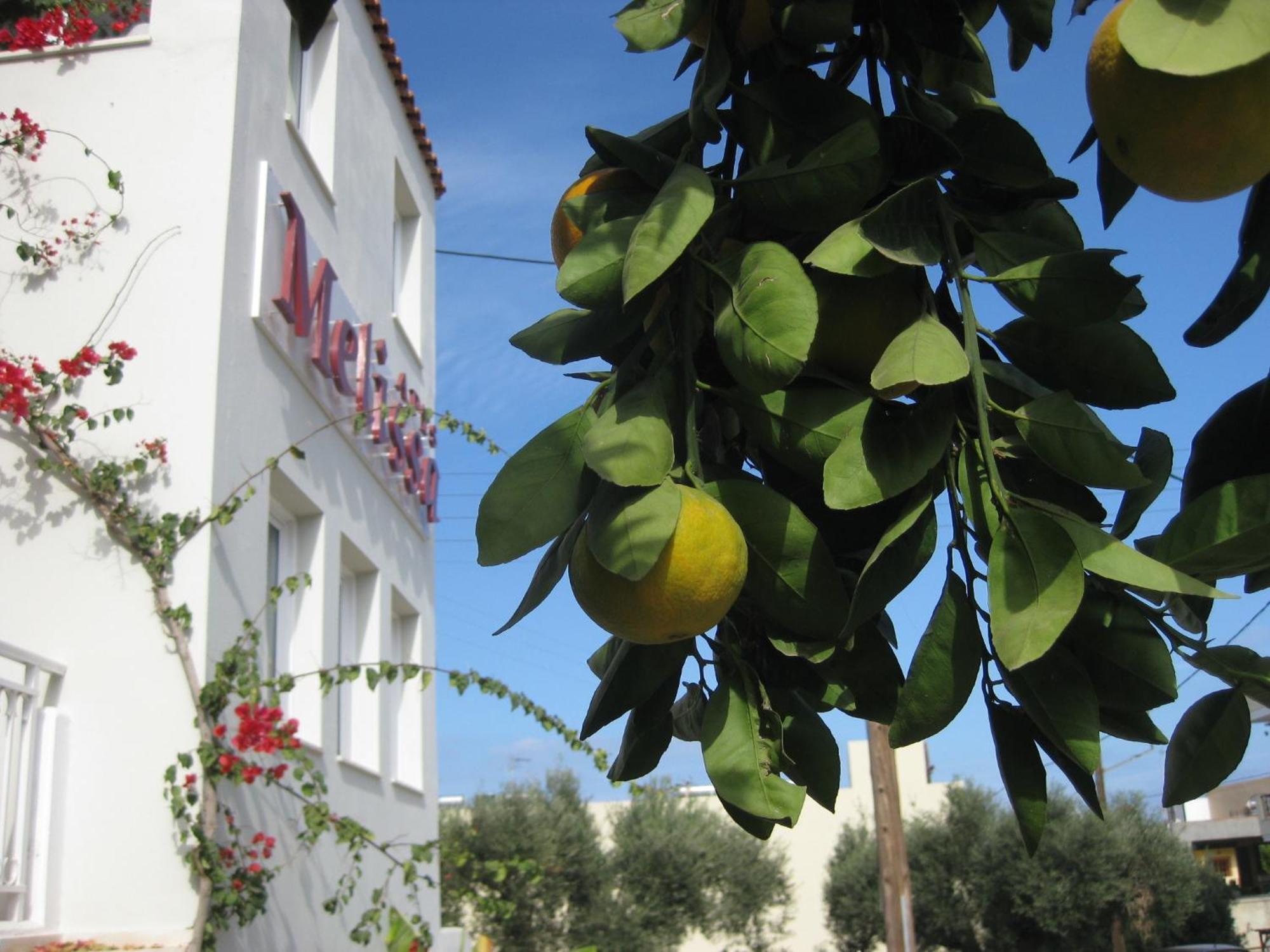 Melissa Apartments, Studios & Suites Malia Eksteriør billede