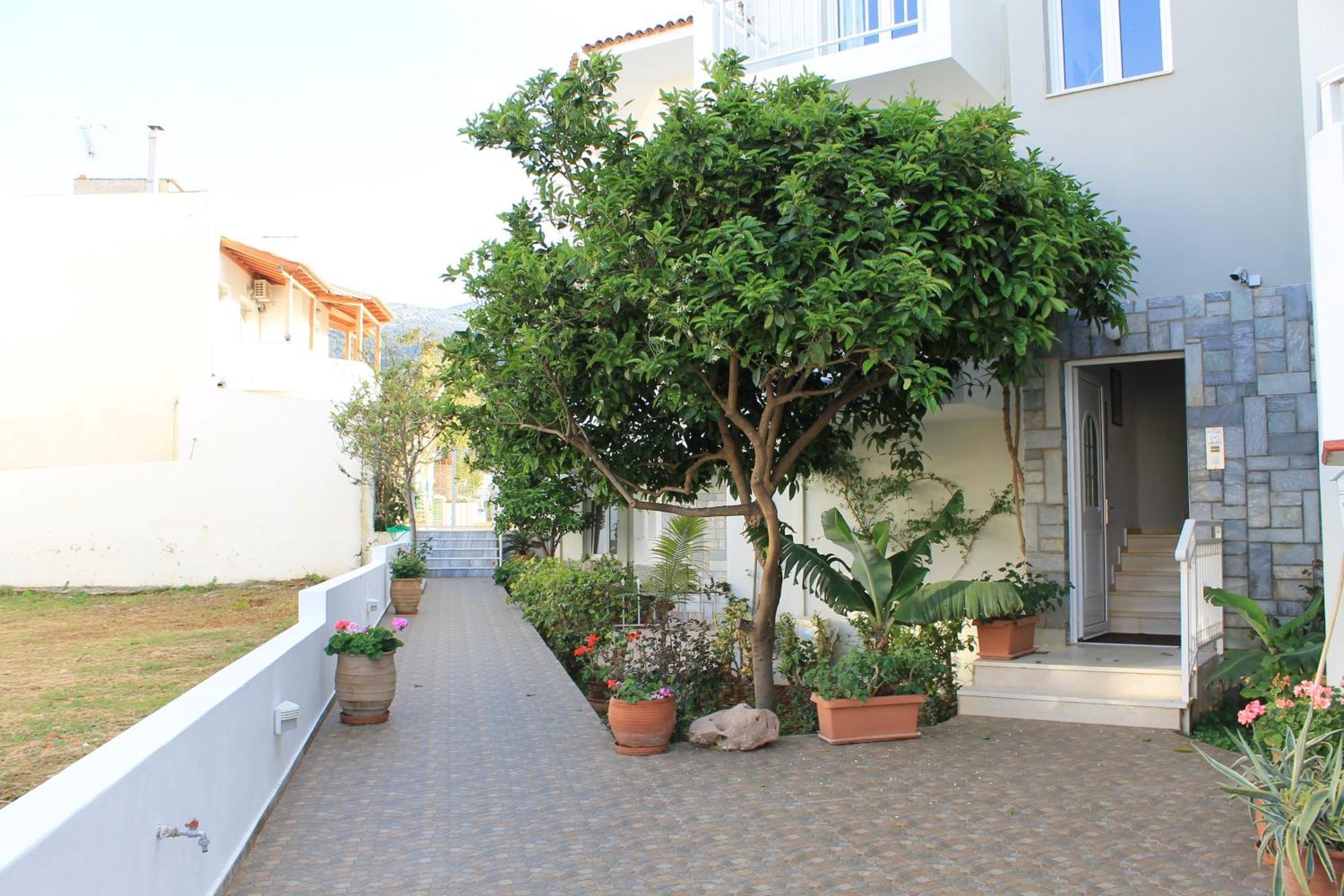 Melissa Apartments, Studios & Suites Malia Eksteriør billede